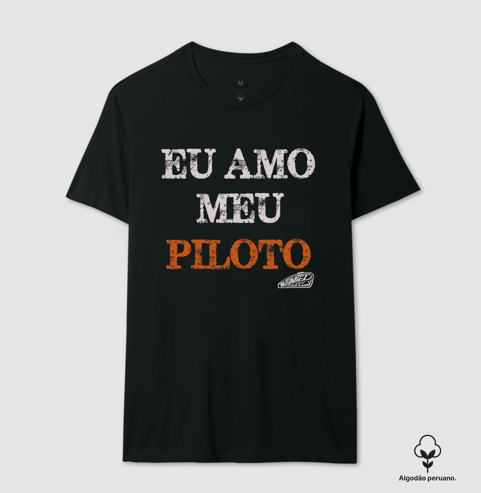 Eu Amo Meu Piloto