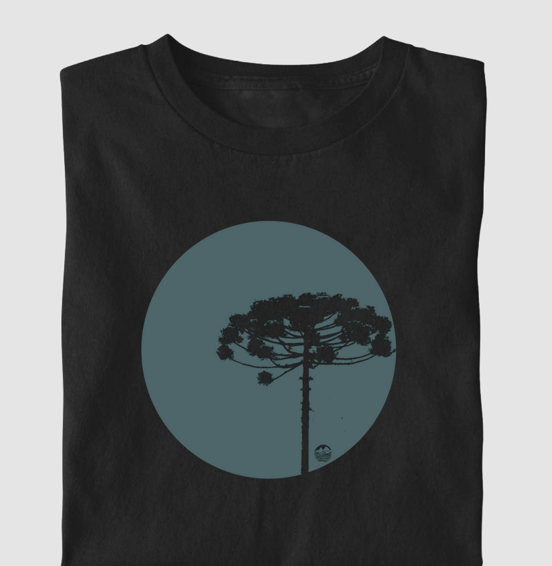 Araucaria Solitária