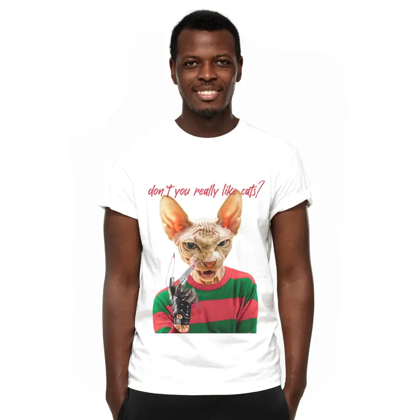 Freddy Cat