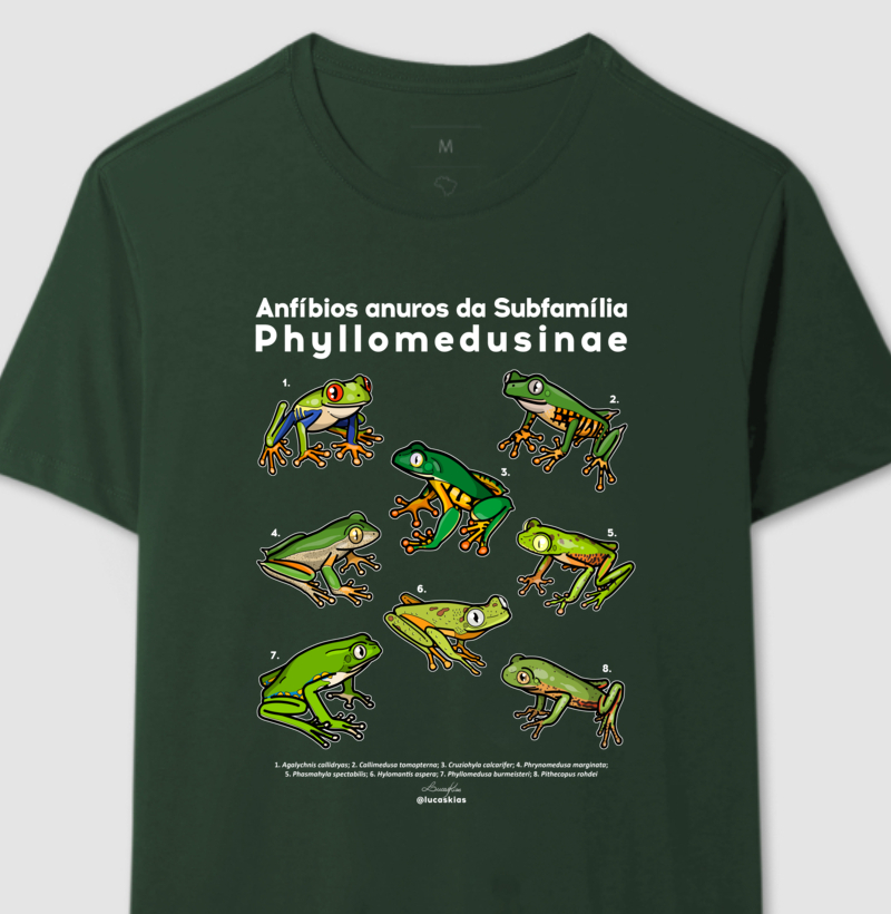 Anfíbios anuros da Subfamília Phyllomedusinae - Modelo B