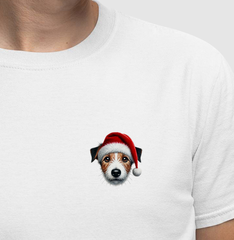 SRD - Dog Noel