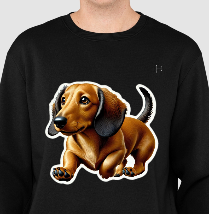 Dachshund 