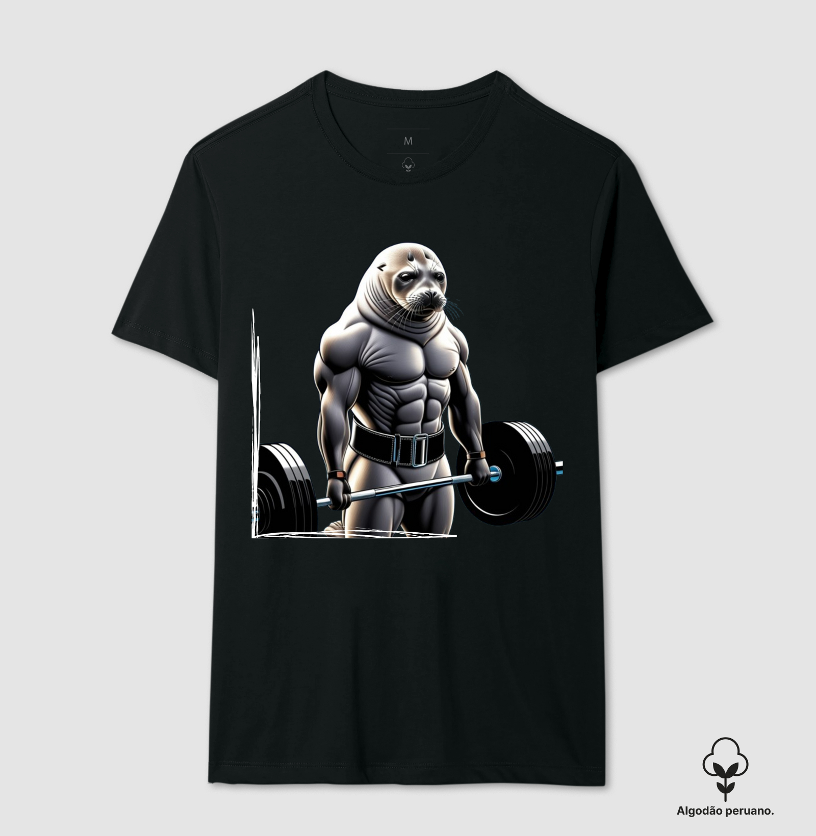 Foca no treino