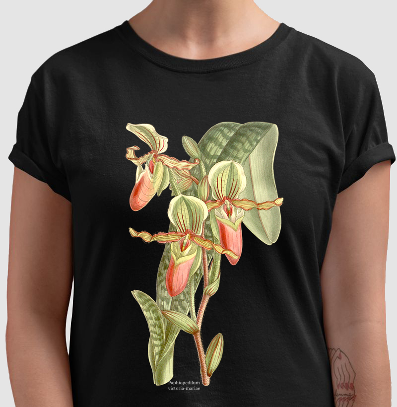 Camiseta Paphiopedilum victoria-mariae (orquidea)