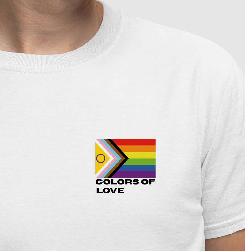 Bandeira LGBT+