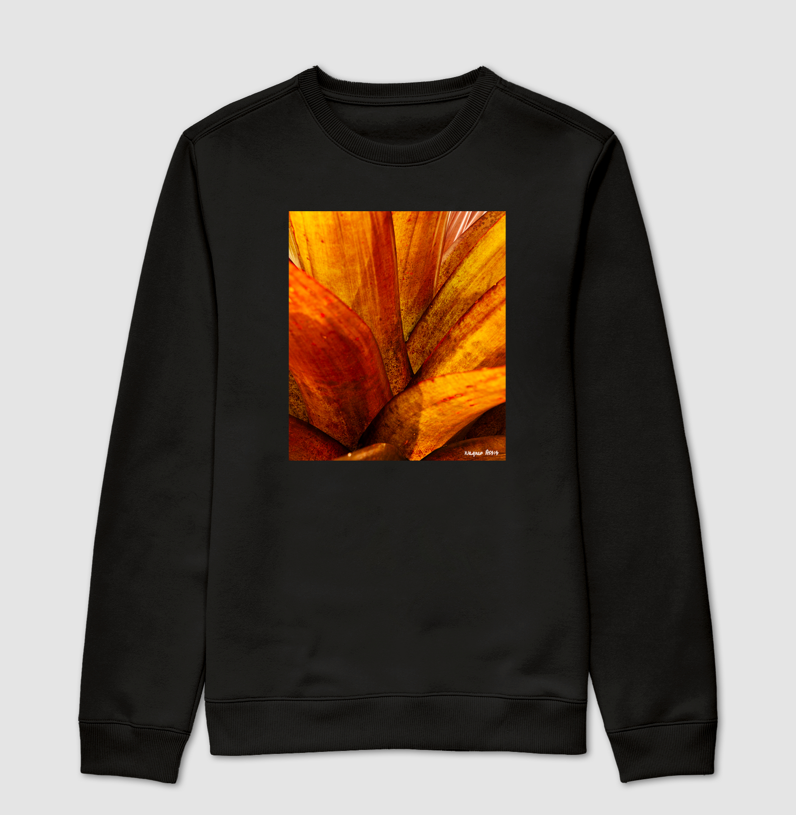 Camiseta Nature #1