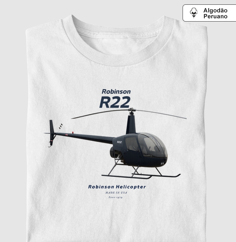 Robinson R22