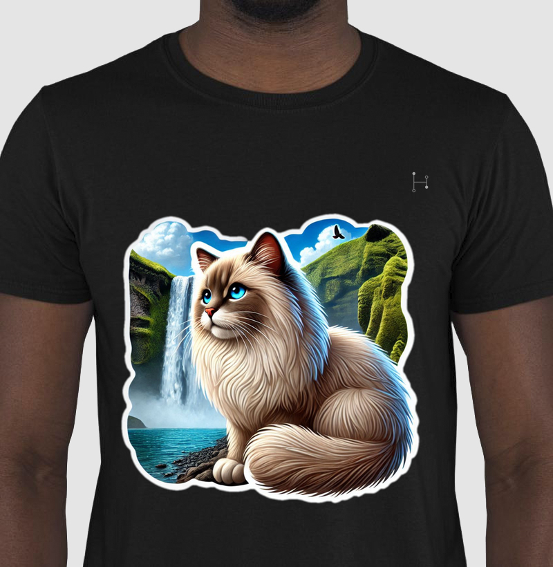 Gato - Ragdoll