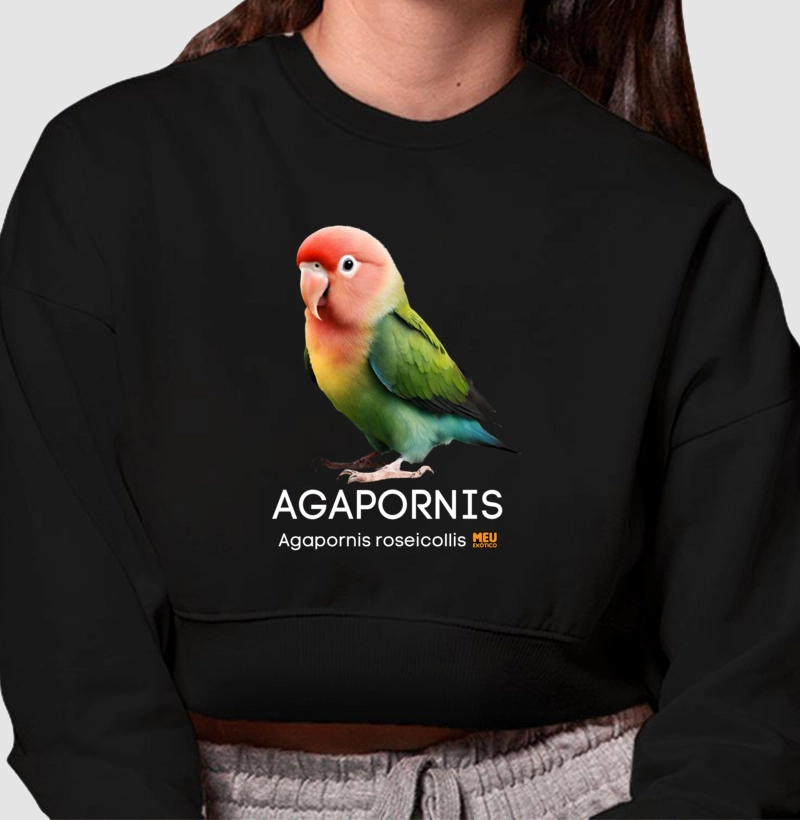 Agapornis II