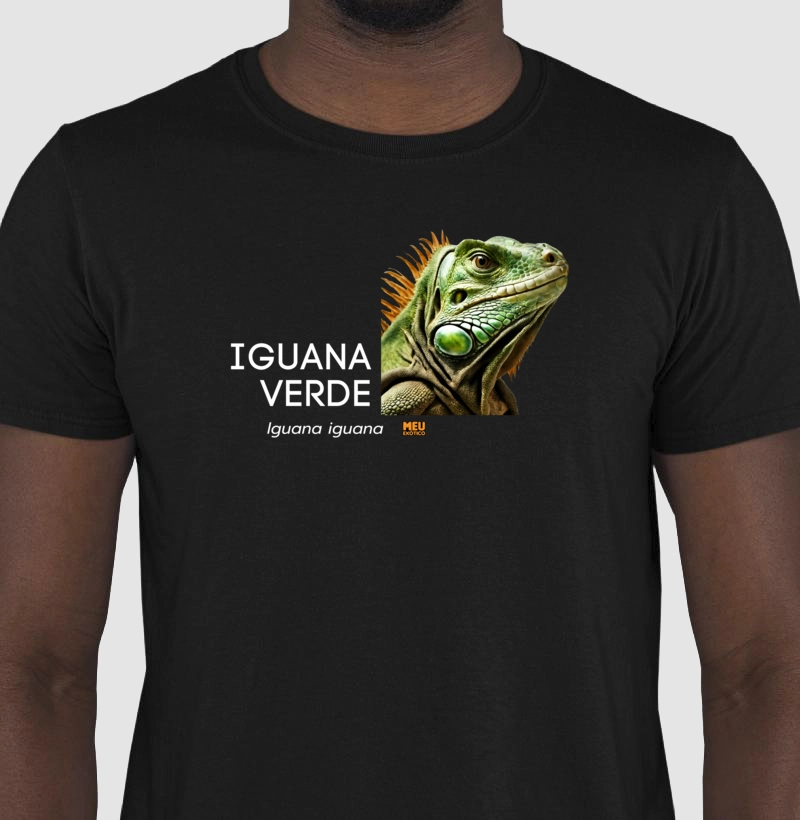 Iguana verde II