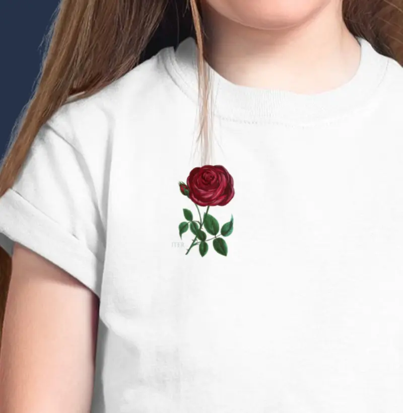 Infantil - Rosa de Santa Teresinha