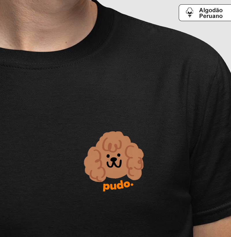 Pudo