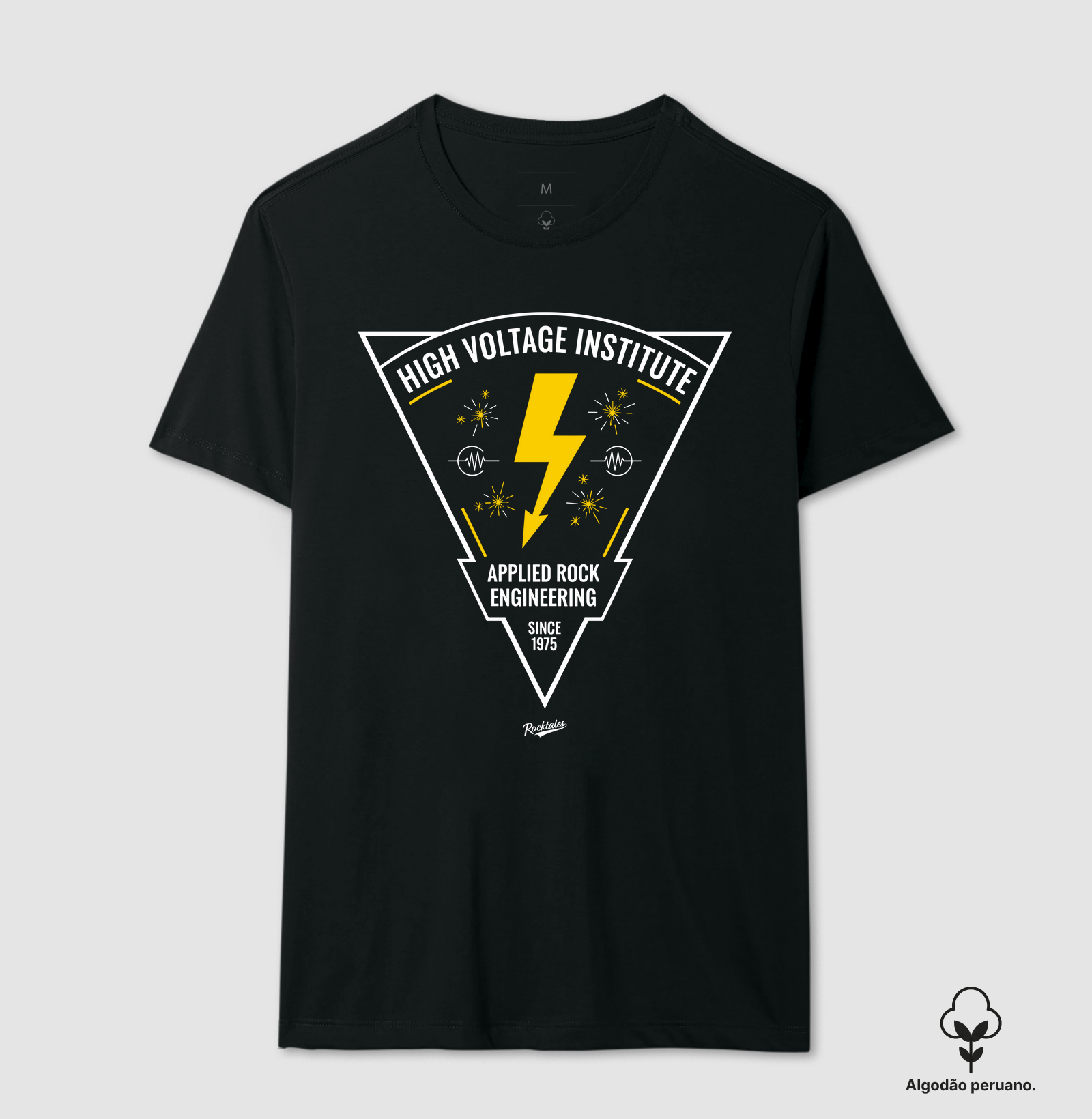 High Voltage Institute