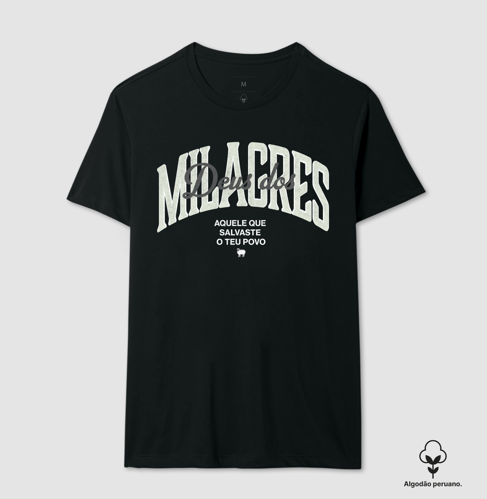Deus dos Milagres