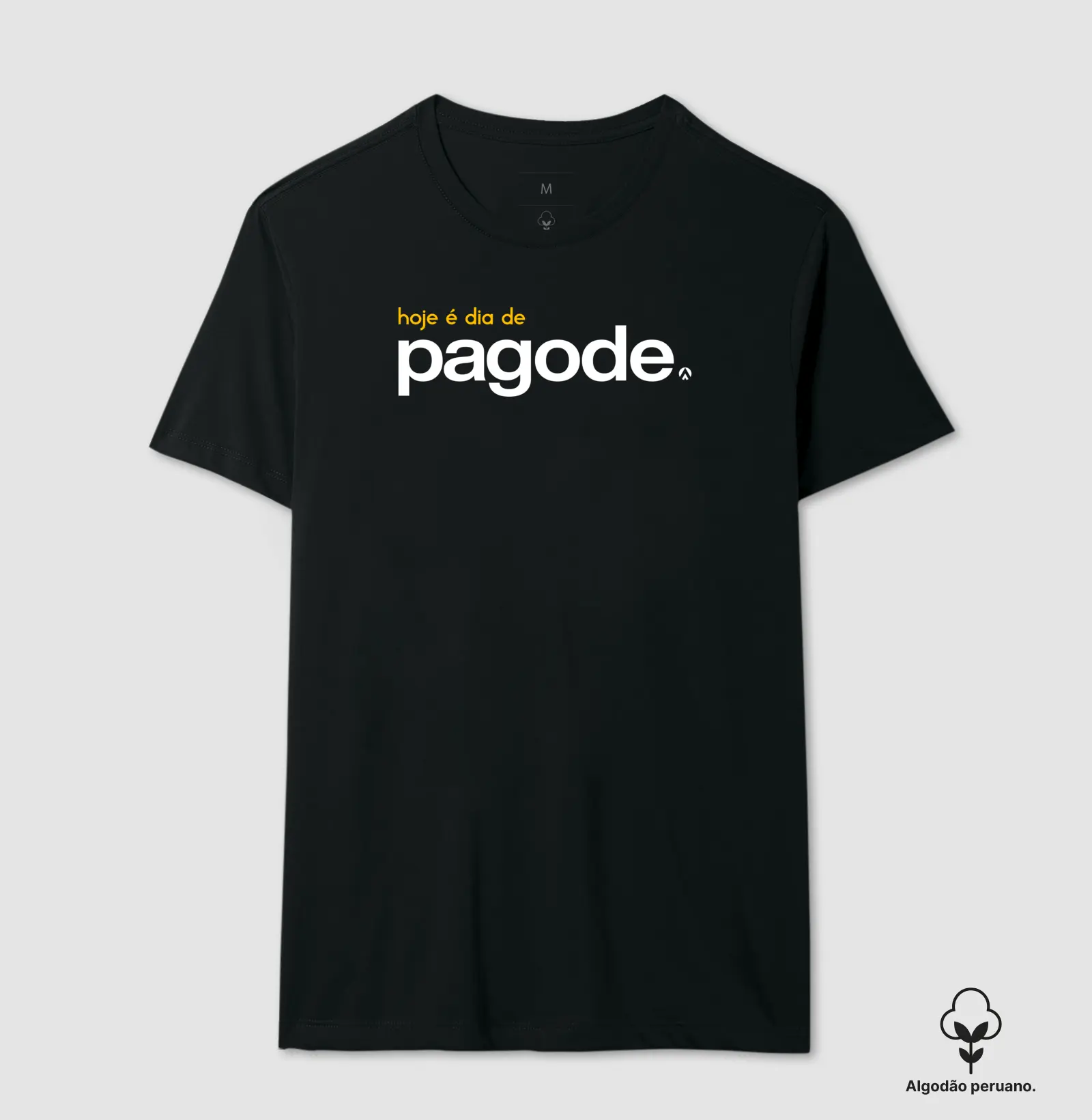 Hoje é dia de pagode