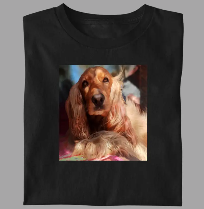Cocker Spaniel