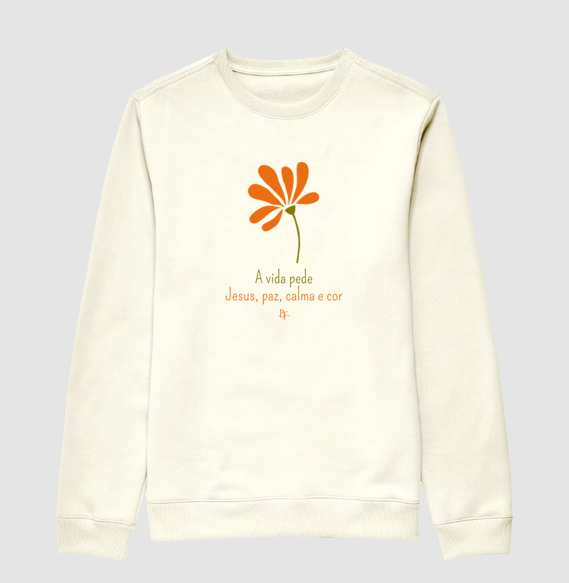 A vida pede Jesus, paz, calma e cor