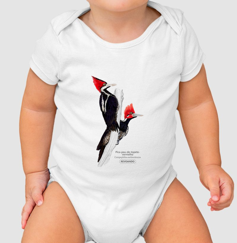 Aves do Brasil - Pica-pau-de-topete-vermelho - Body Infantil