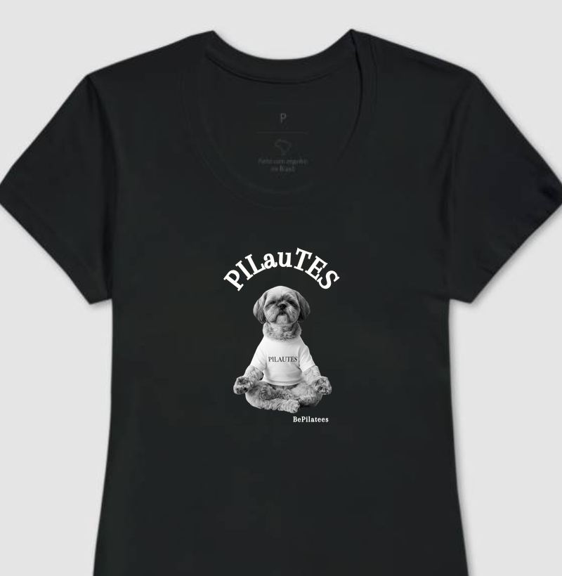 Pilautes meditação