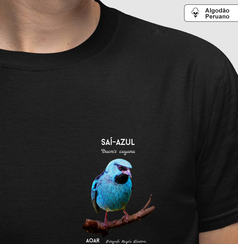  Aves da mata atlântica com Magela Eleutério SAÍ-AZUL