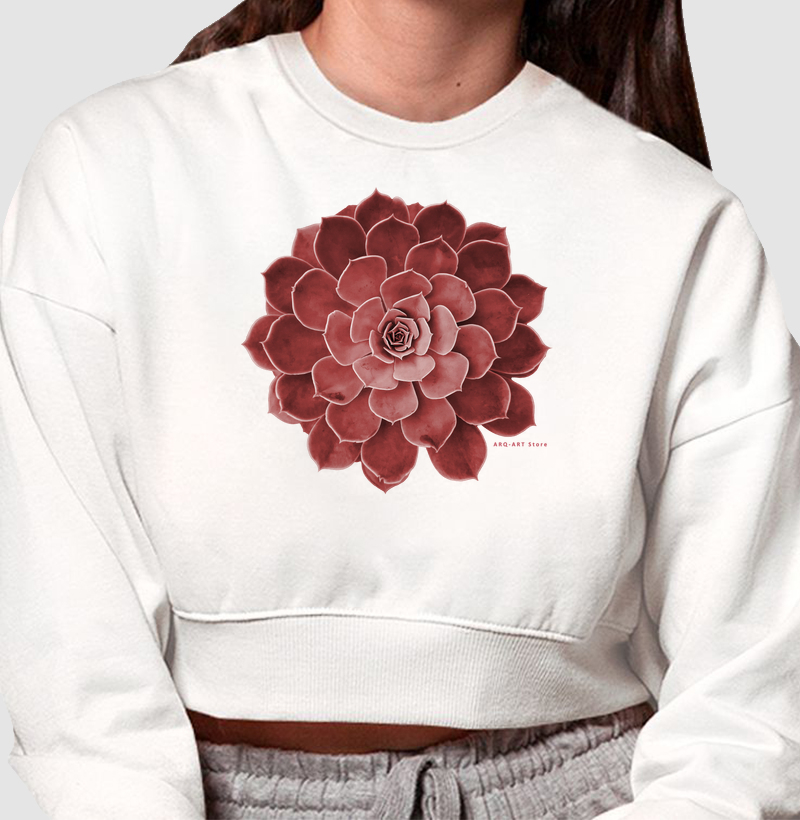 Suculenta rosa