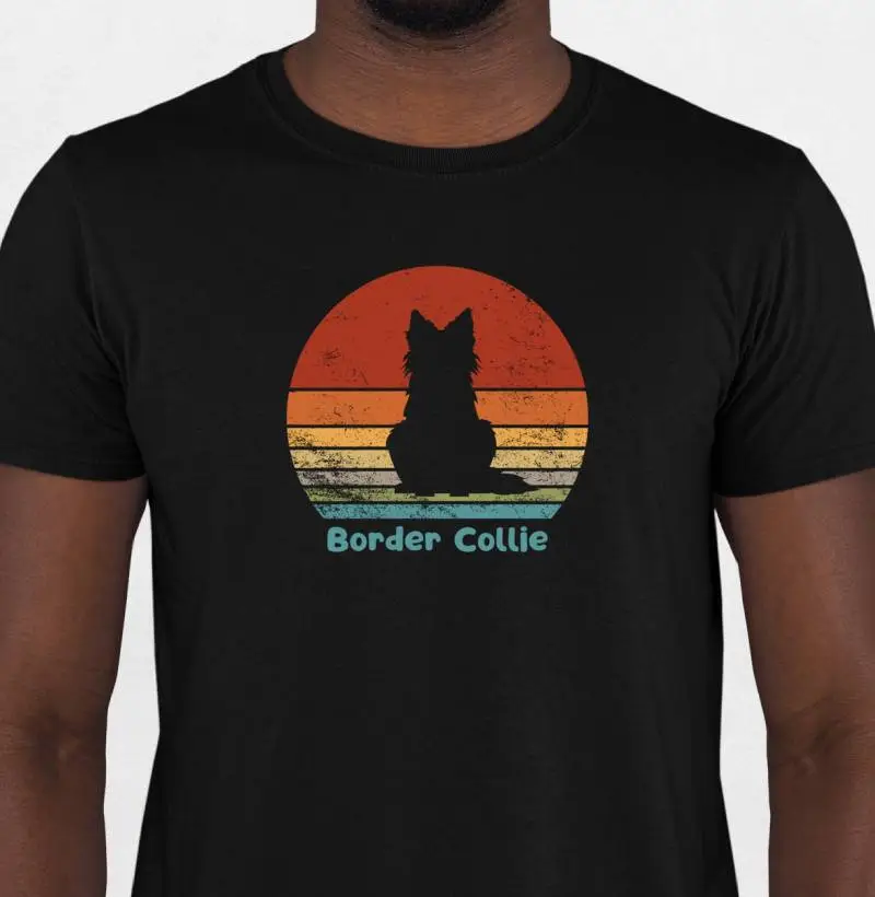 Sunset Border Collie 1