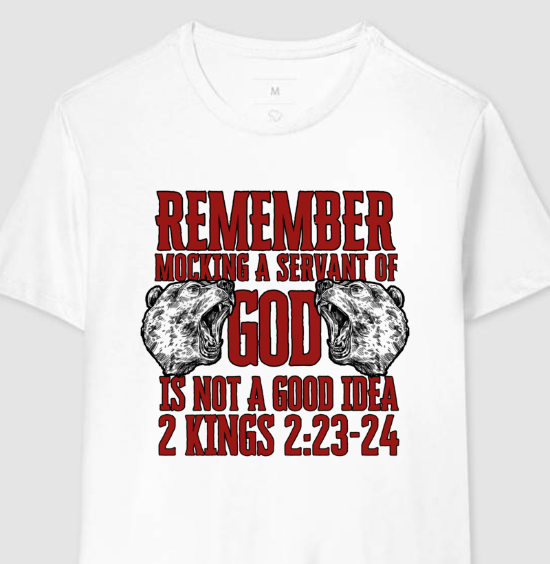 2 Kings 2:23-24