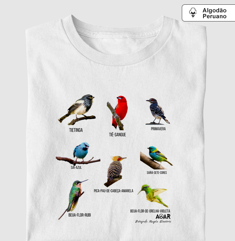 Aves da mata atlântica com Magela Eleutério