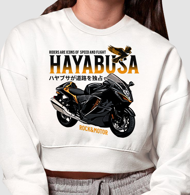 Hayabusa - Speed and Flight