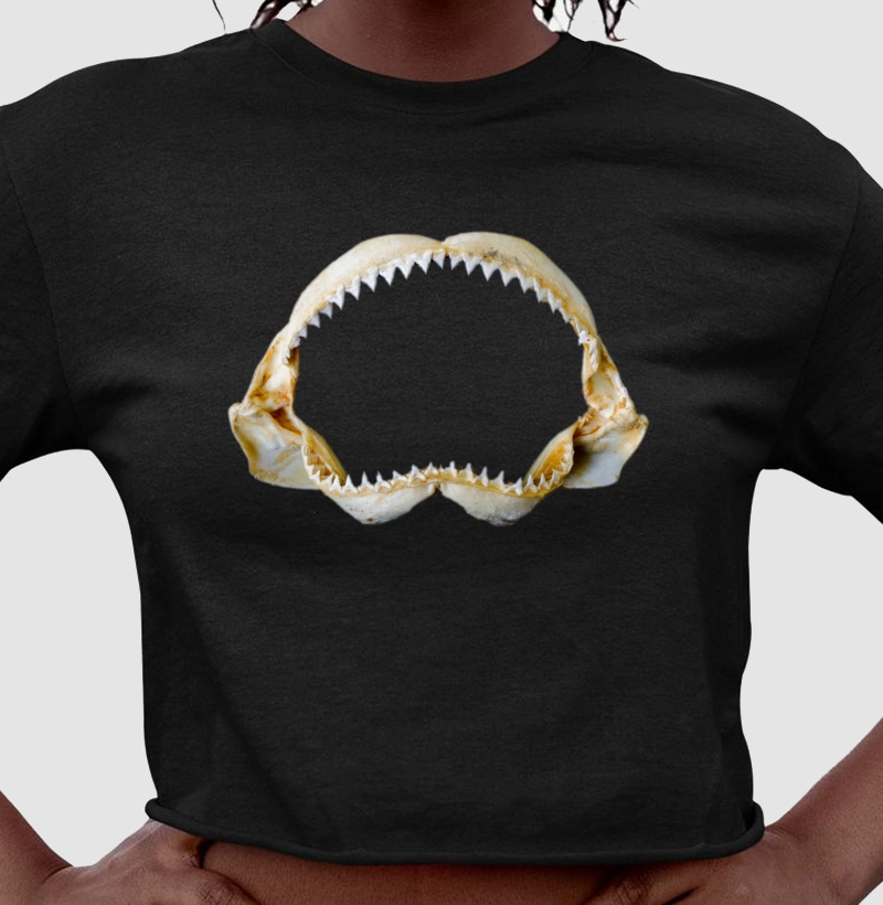 Jaws