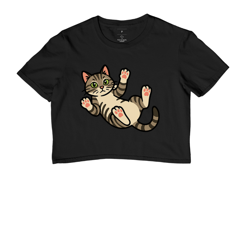 American Shorthair Deitado