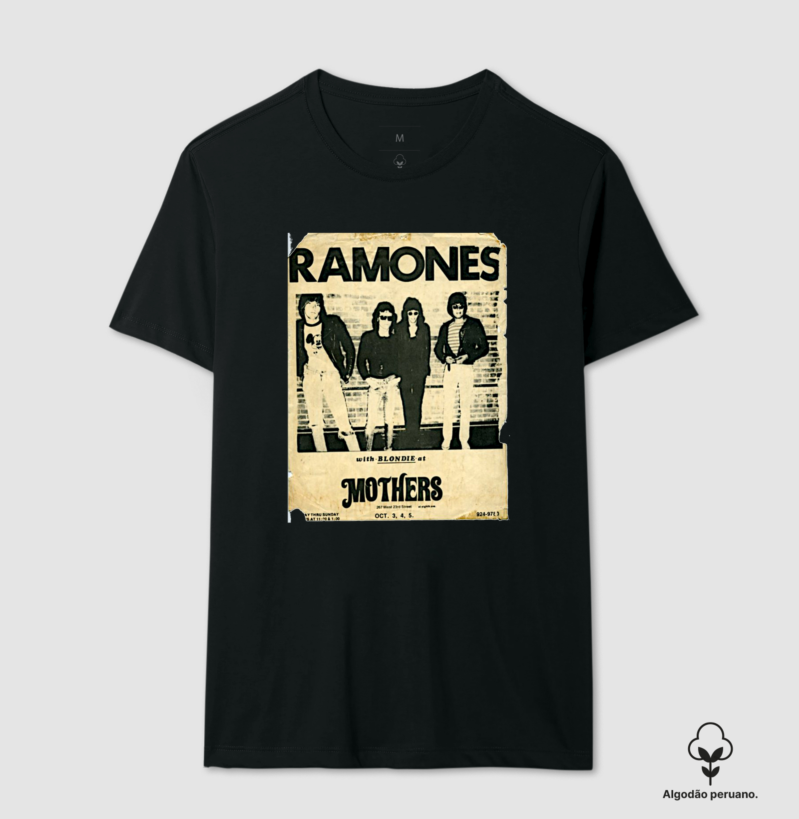 Cartaz - Ramones anos 70