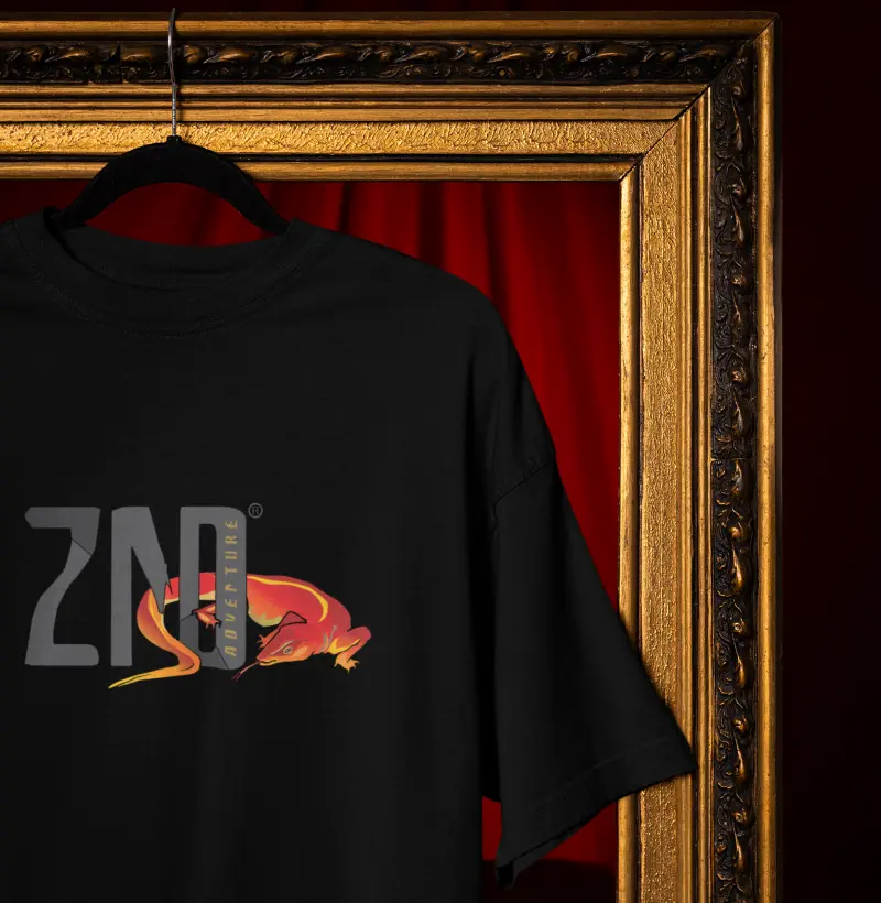 74 ZND - Logo