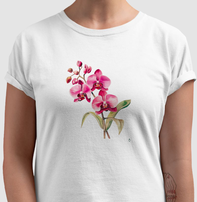 Coleção Orquídeas