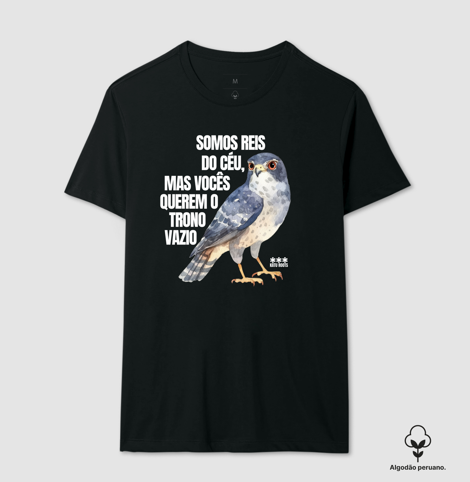 AVES DE RAPINA