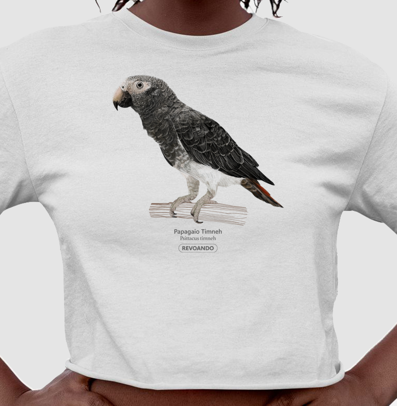 Love Friends - Papagaio Timneh - Cropped