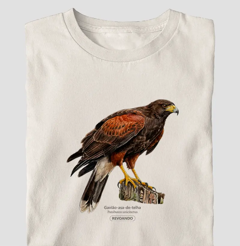 Traços Alados - Gavião-asa-de-telha - Oversized