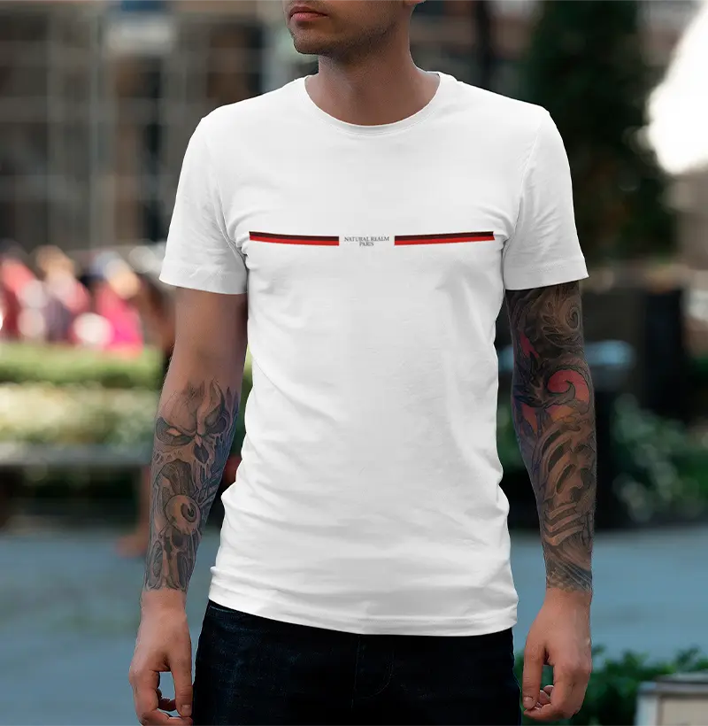 Camiseta Paris