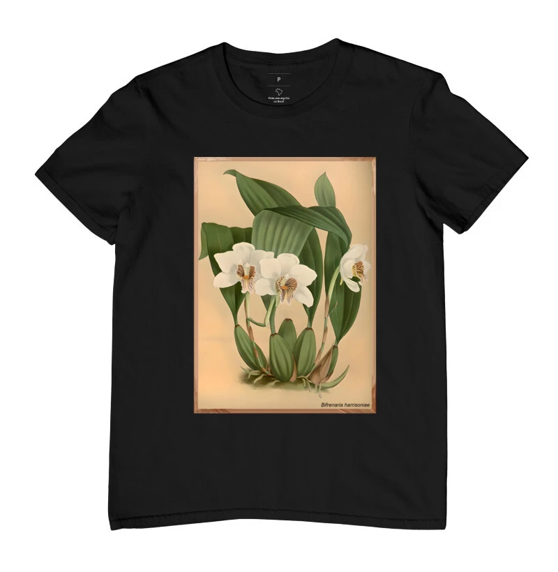 Bifrenaria
