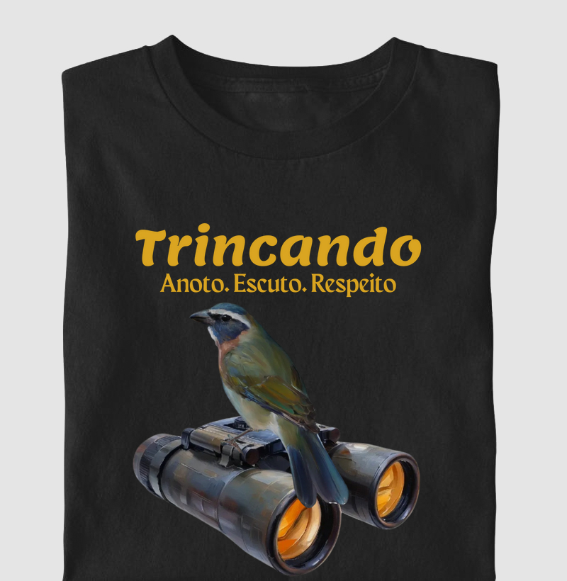 Coleção Observadores 1.0