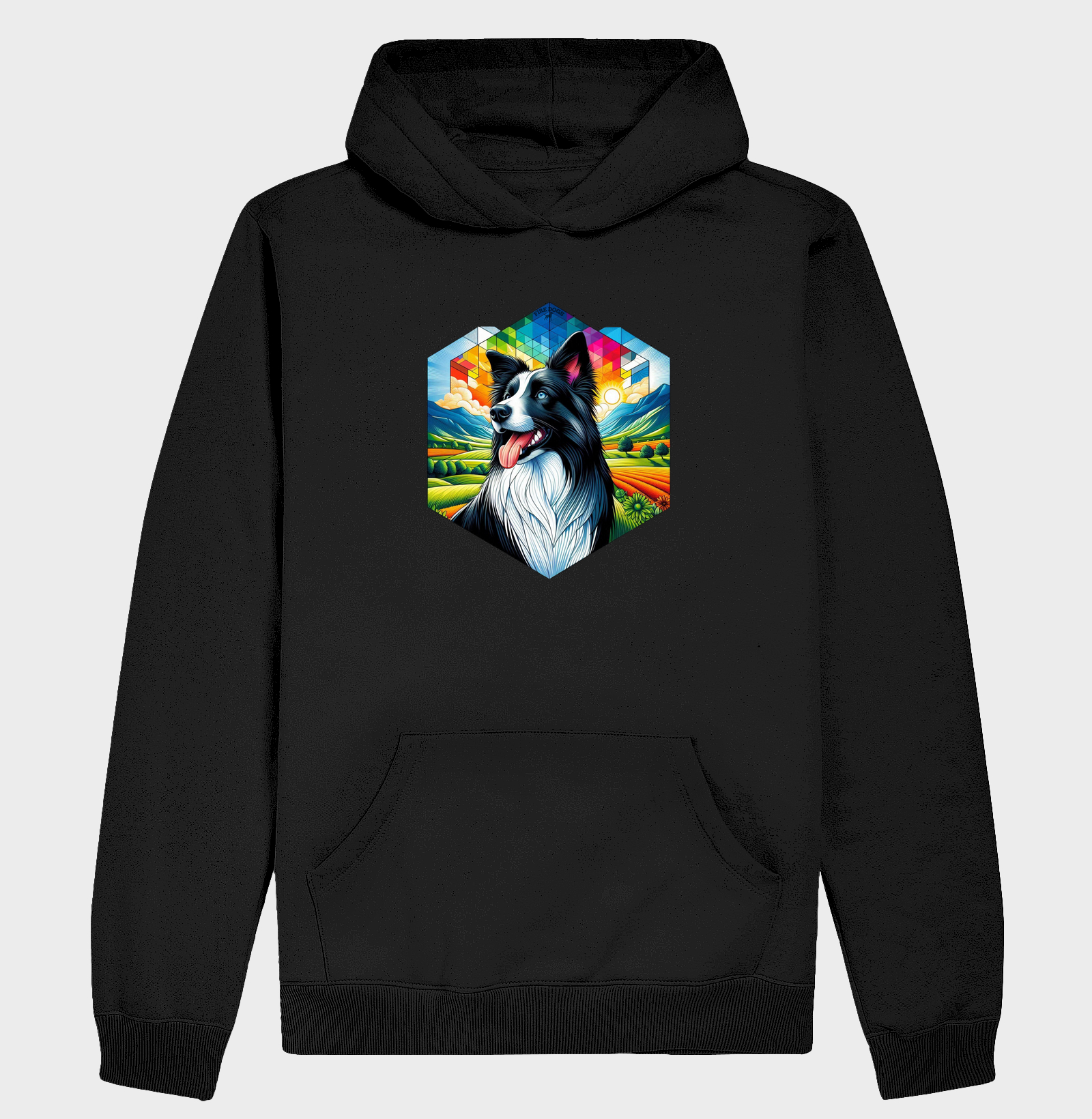 Border Collie Colorful