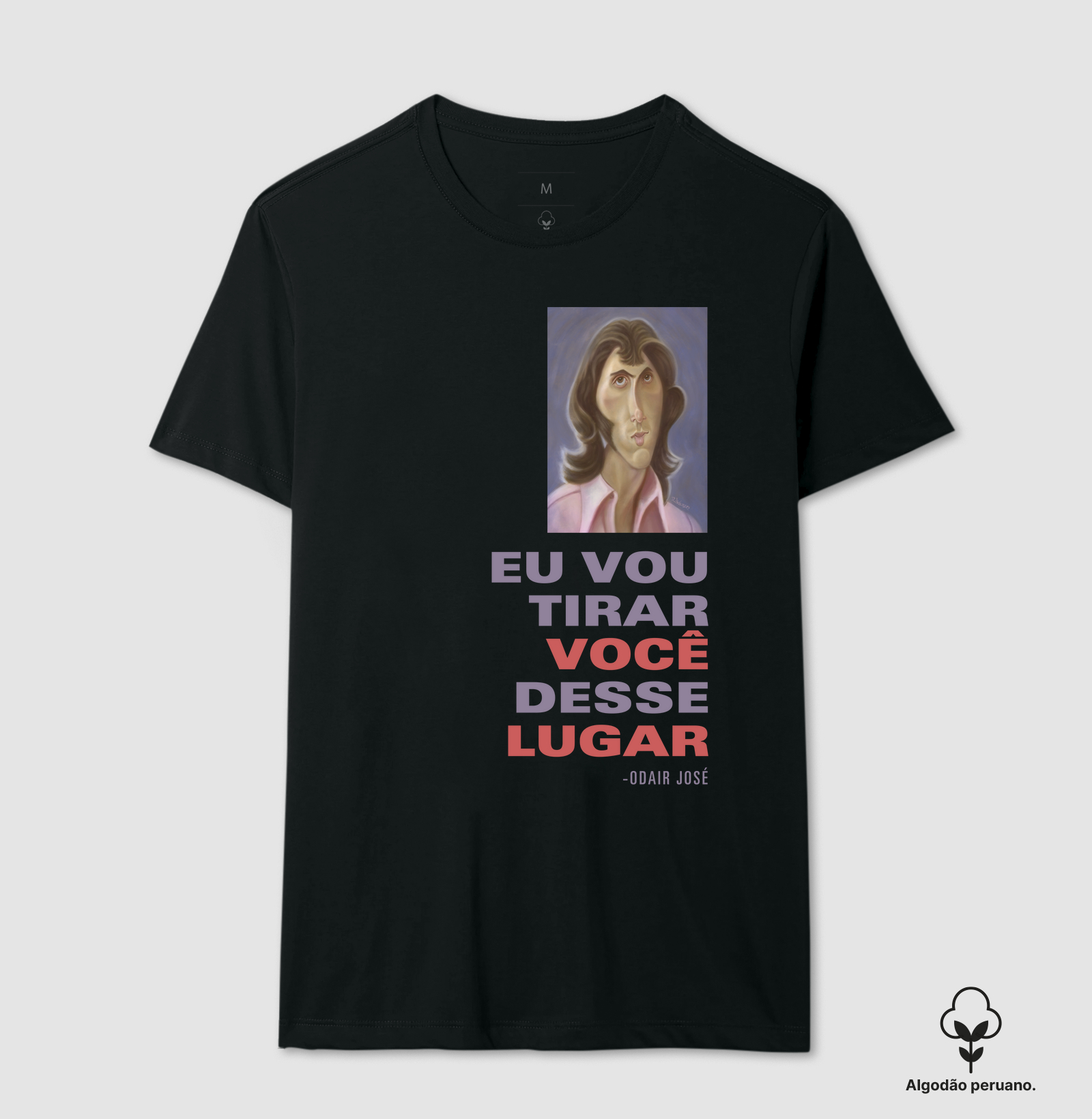 Eu Vou Tirar Você Desse Lugar
