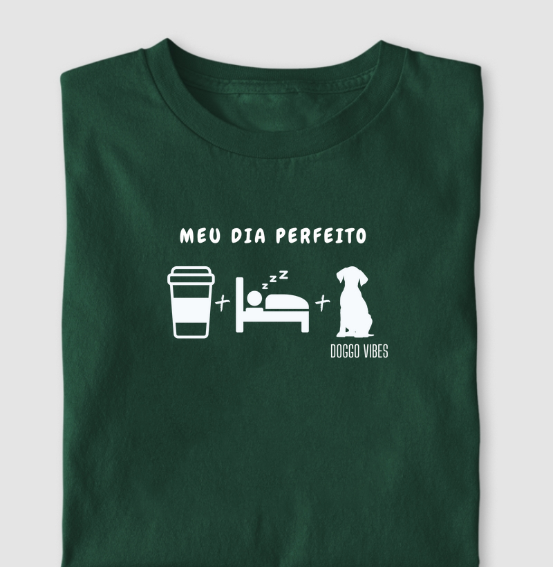 Meu dia perfeito