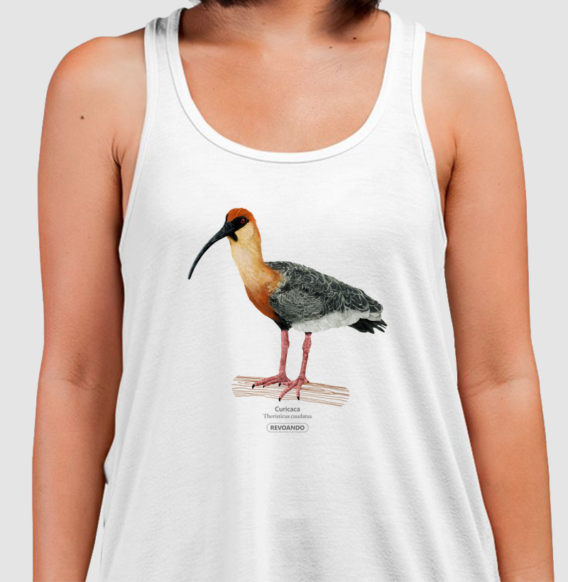 Inky Aves - Curicaca - Regata