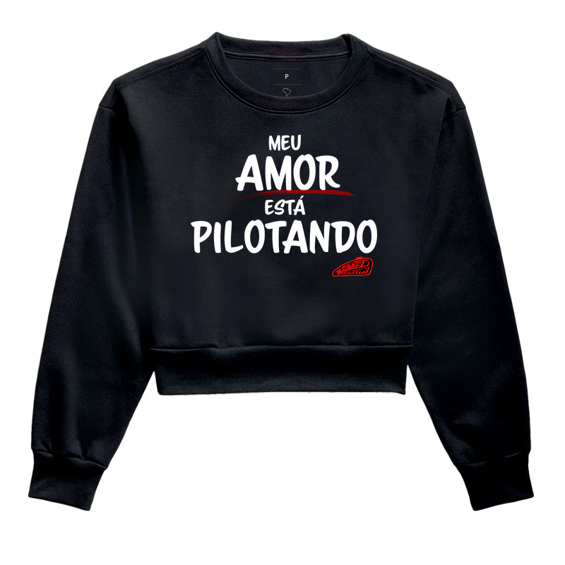Meu amor está pilotando