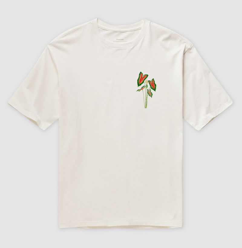 Caladium