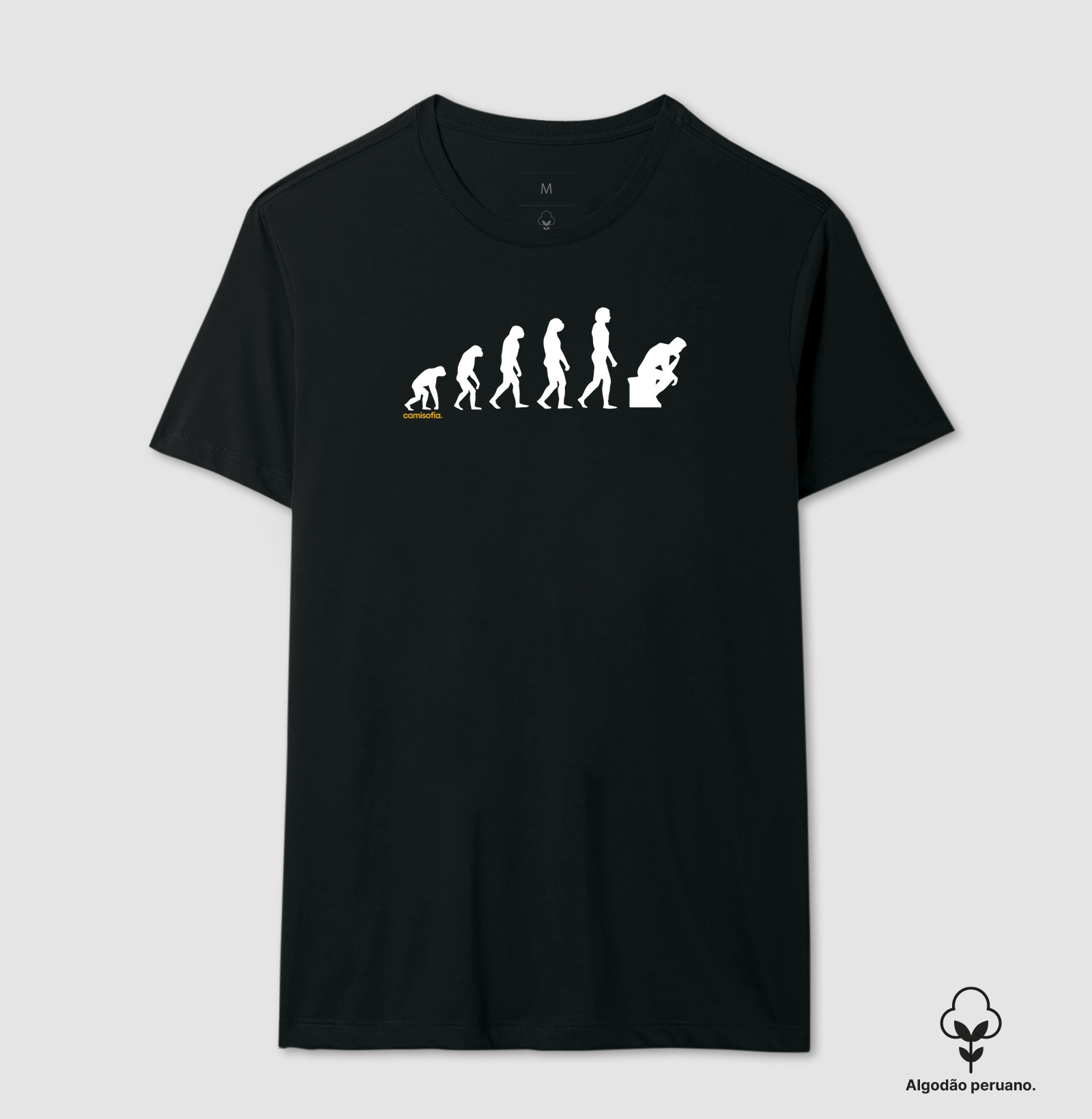 Evolução do Homem até o Filósofo