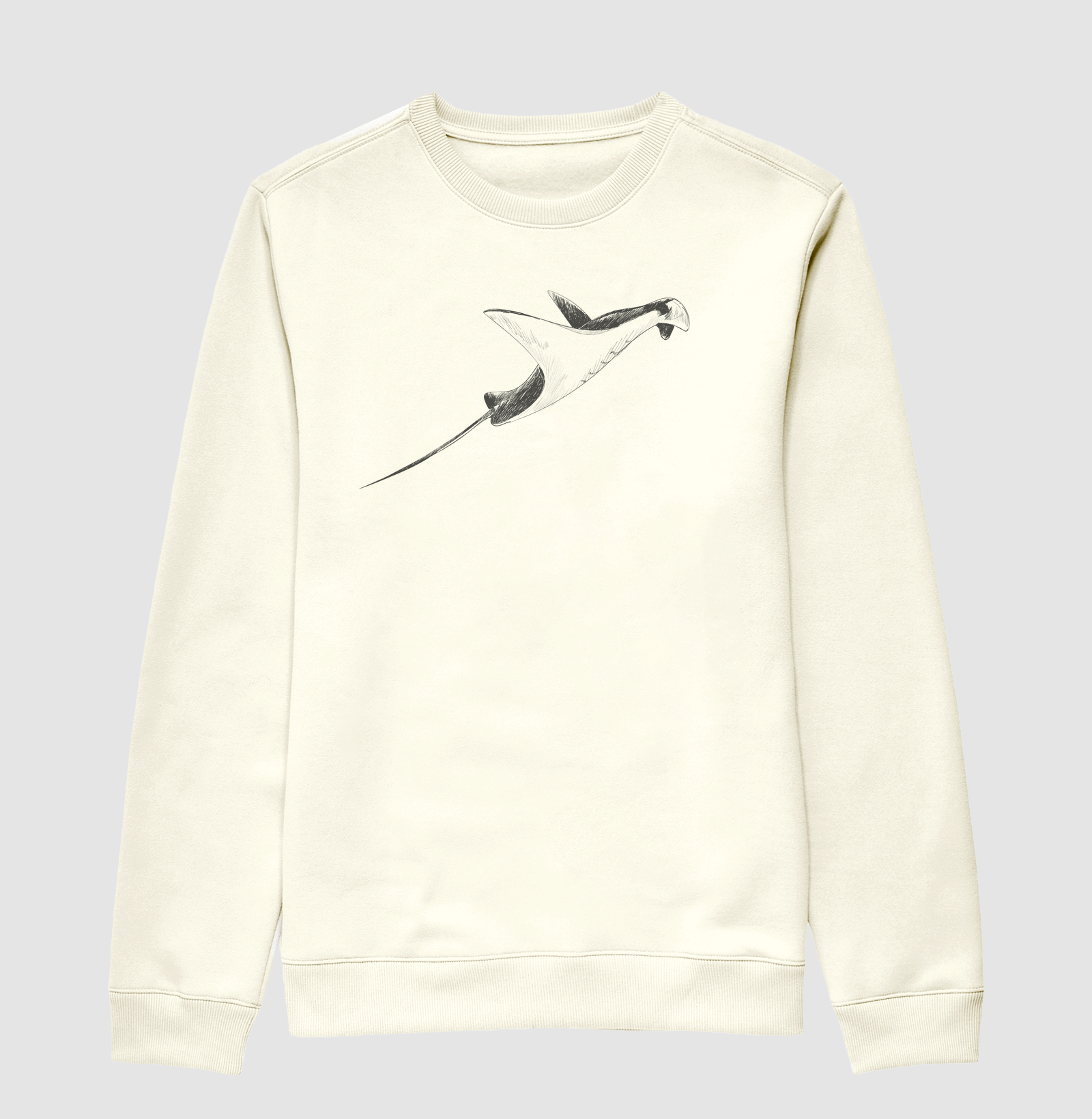 Stingray Sketch