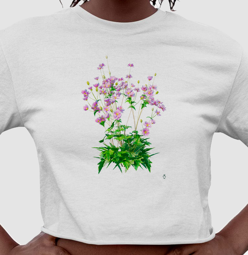 Coleção flores