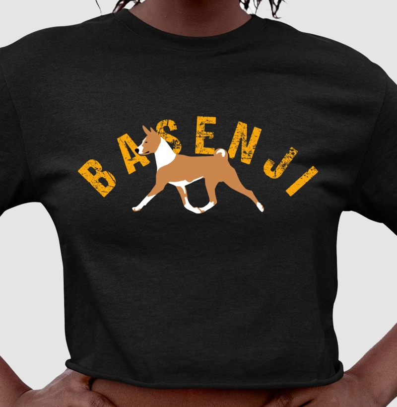 Basenji Laranja